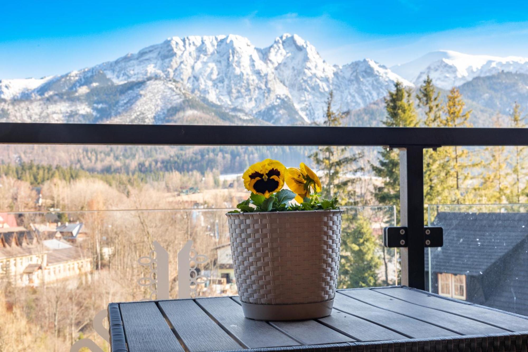Apartamento Polana Szymoszkowa - Chamerion Zakopane